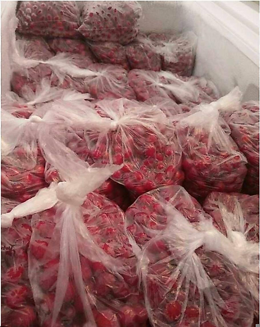 kızılcık dondurulmuş 1kg