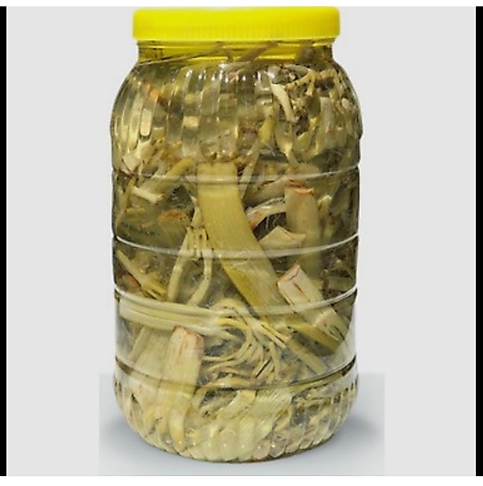 Çaşır tortum